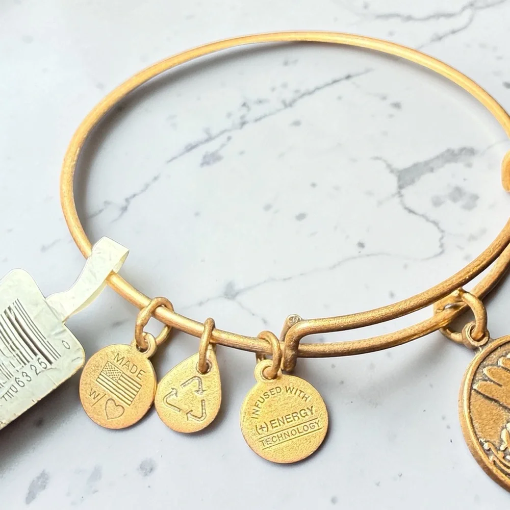 Alex and Ani “Because I Love‎ You Sister” Rafaelian Gold Expandable Charm Bangle